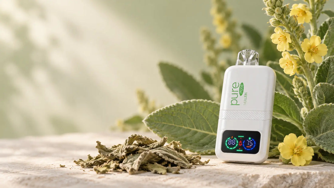 Mullein Smoke & Mullein Smoking: What You Should Know