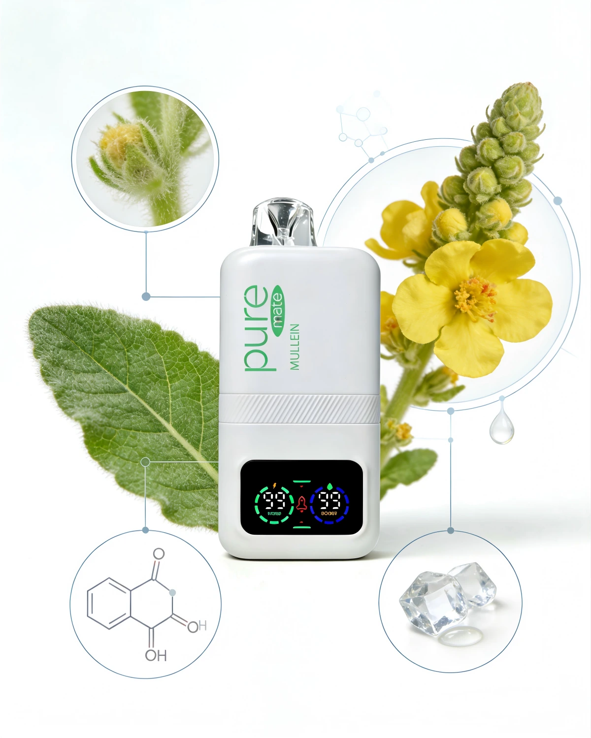 Pure Mate nicotine-free vape kit contents - includes 10000 puff device, USB-C charging cable, and 21-day lung reset protocol guide