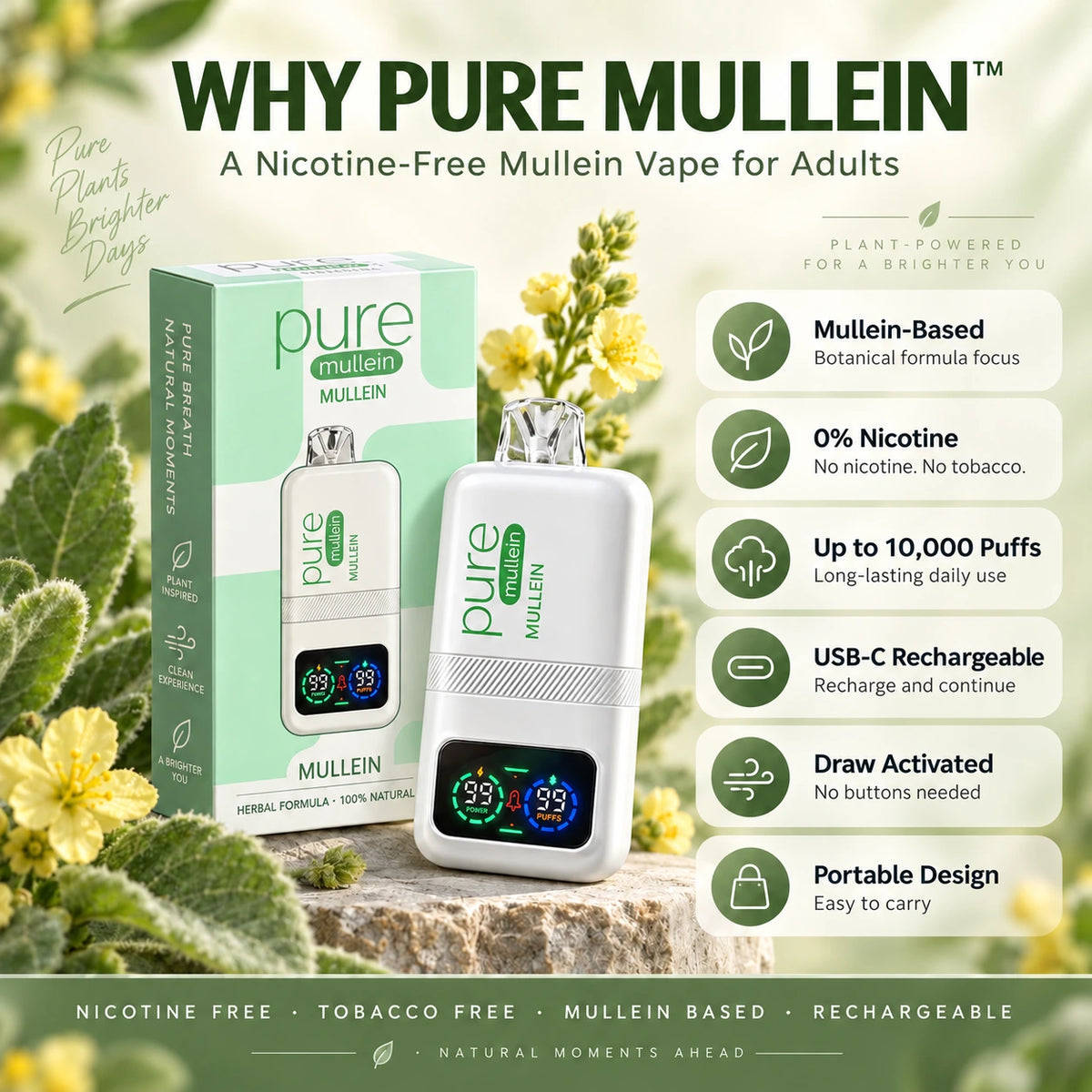 Pure Mullein nicotine-free mullein vape with key benefits, 10000 puffs, USB-C rechargeable, and portable design
