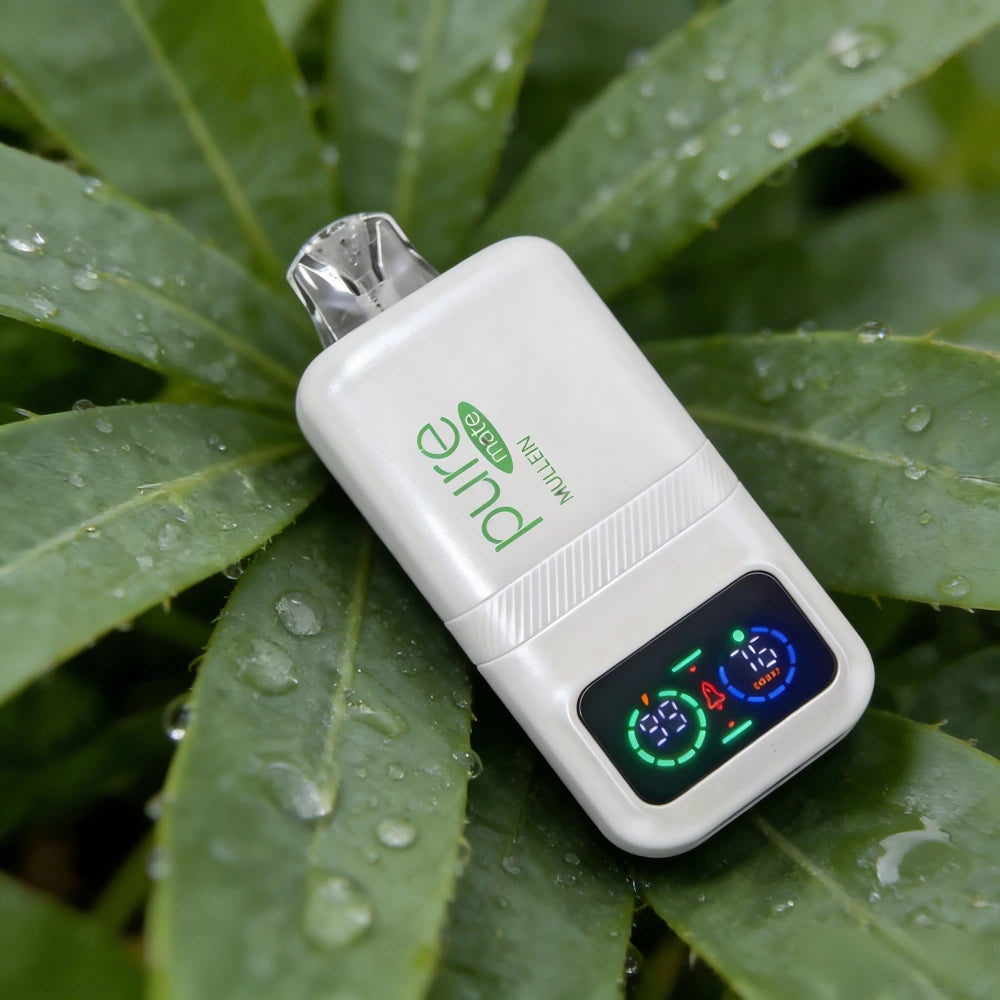 Pure Mate Zero Nicotine Vape | 10,000 Puffs Nicotine-Free Mullein Inhaler | Pure Diffuser Detox puremullein Pure Mate Zero Nicotine Vape | 10,000 Puffs Nicotine-Free Mullein Inhaler | Pure Diffuser Detox puremullein